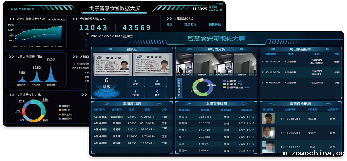 戈子科技数据大屏